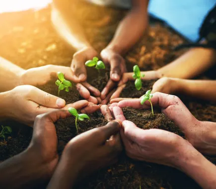 Nonprofit virtual assistant managing donor communication and grants