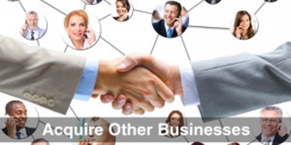 Acquire-Other-Businesses